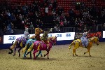 Quadrille - 00636